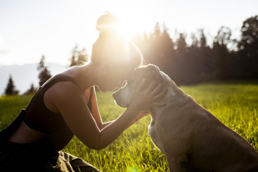 Verbundenheit zwischen Mensch und Hund: Eine unzertrennliche Beziehung