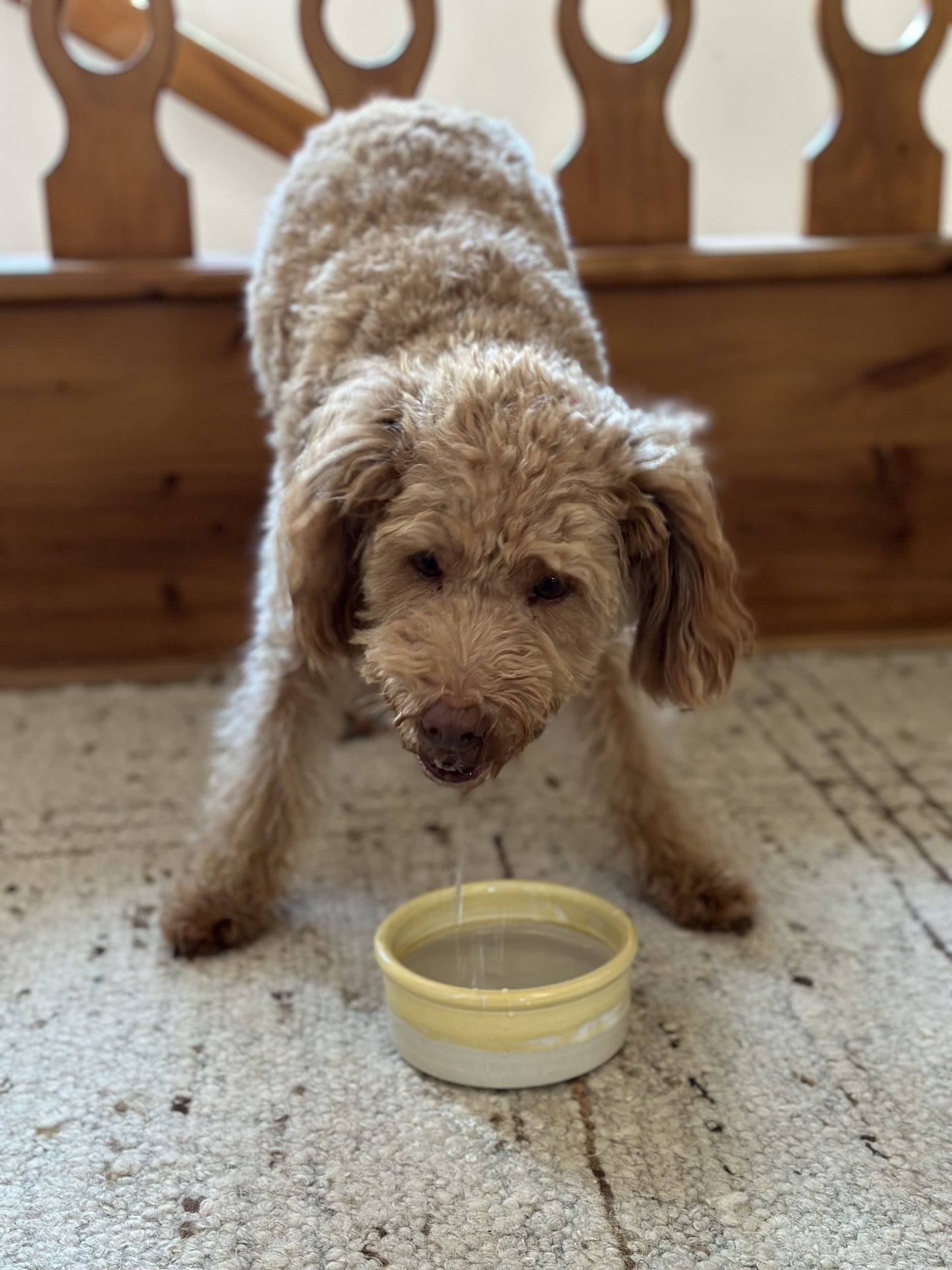 Charly's Wonder Bowl | Ceramic Pot